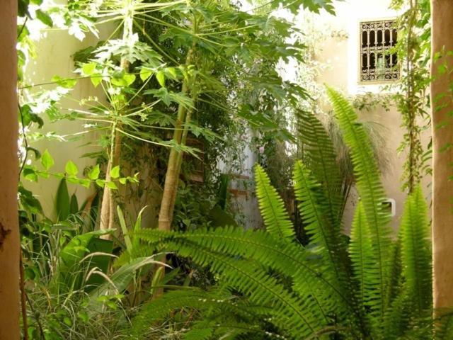 Dar Zahia Hotell Taroudant Exteriör bild
