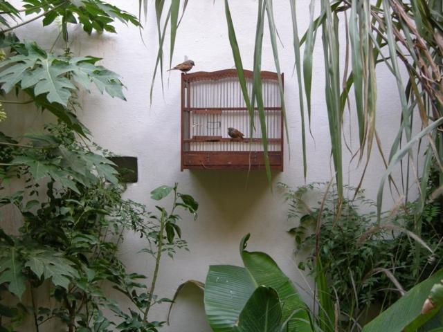 Dar Zahia Hotell Taroudant Exteriör bild