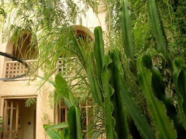 Dar Zahia Hotell Taroudant Exteriör bild