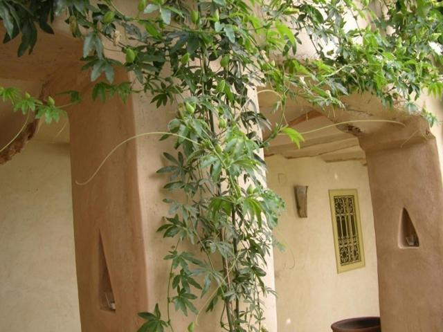 Dar Zahia Hotell Taroudant Exteriör bild