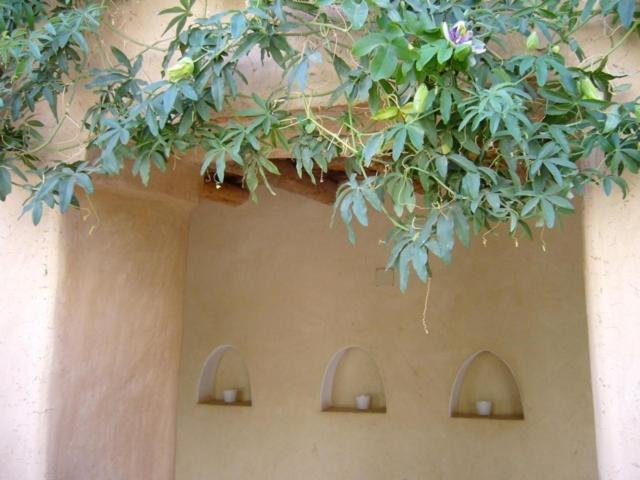 Dar Zahia Hotell Taroudant Exteriör bild