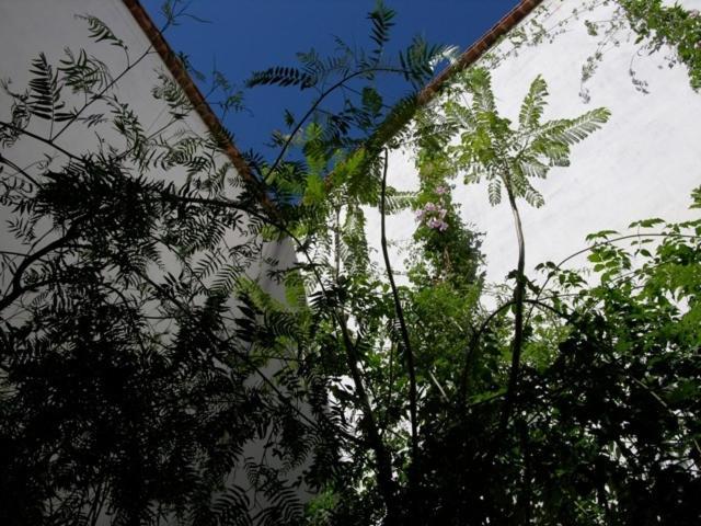 Dar Zahia Hotell Taroudant Exteriör bild