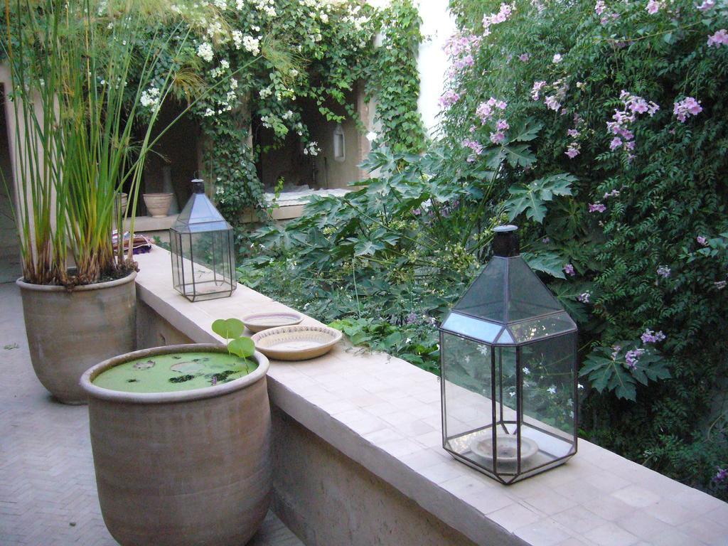 Dar Zahia Hotell Taroudant Rum bild